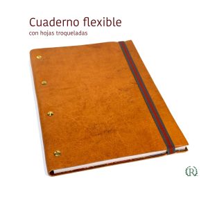 Tornillos 21x29,5 (CT-02)