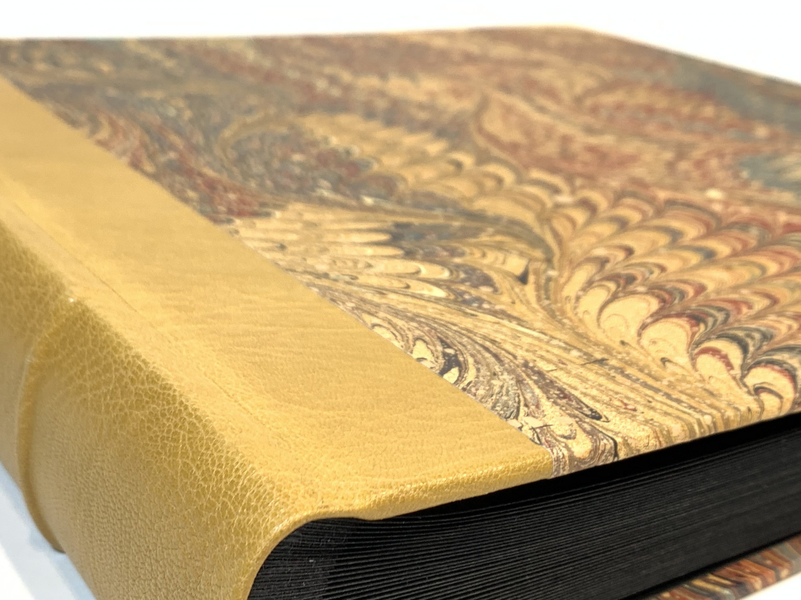 Álbum 30x30,5cm - 40h (AF-031) - Imagen 4