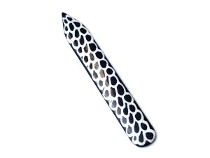 hueso  "fish scales"